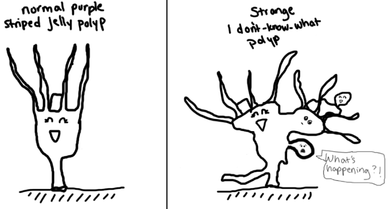 True story: this is what it looked like (except polyps do not have faces...)