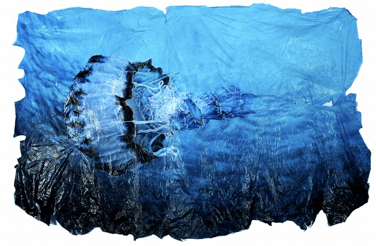 Purple stripped jelly 