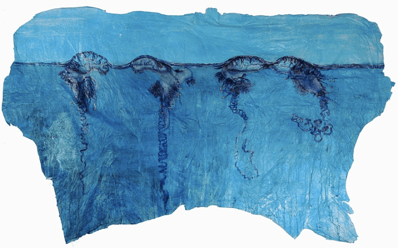 portuguese man o' wars