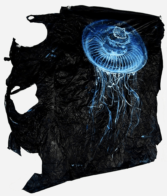 Crystal jelly (Aequorea sp.)