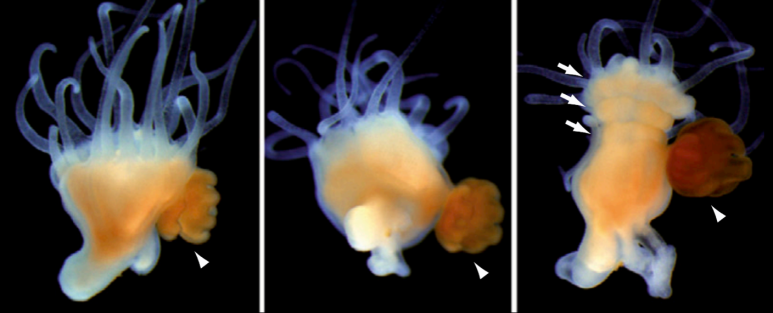 Screen Shot 2017-12-29 at 12.07.41 PM