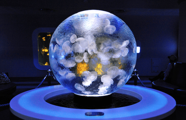 Screen Shot 2014-07-17 at 5.12.52 PM