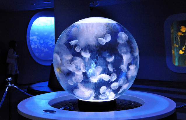 Screen Shot 2014-07-17 at 5.13.16 PM