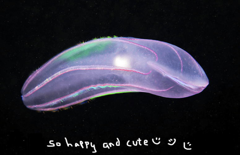 Photo by Alexander Semenov