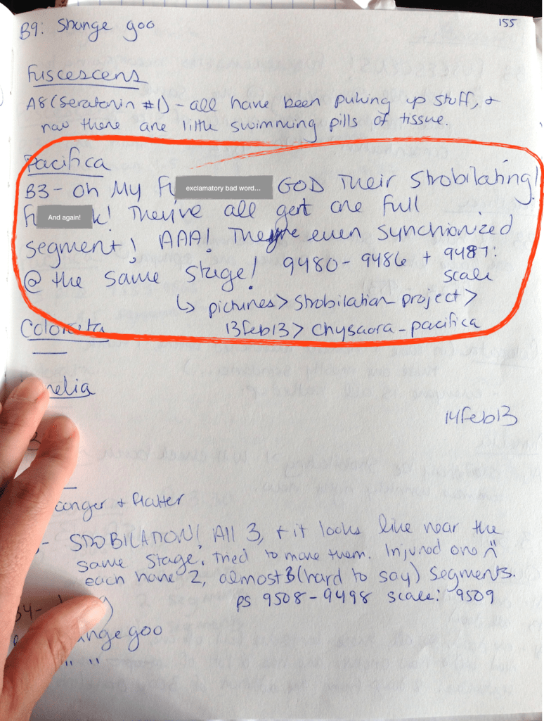 Screen Shot 2017-12-28 at 1.08.14 PM.png