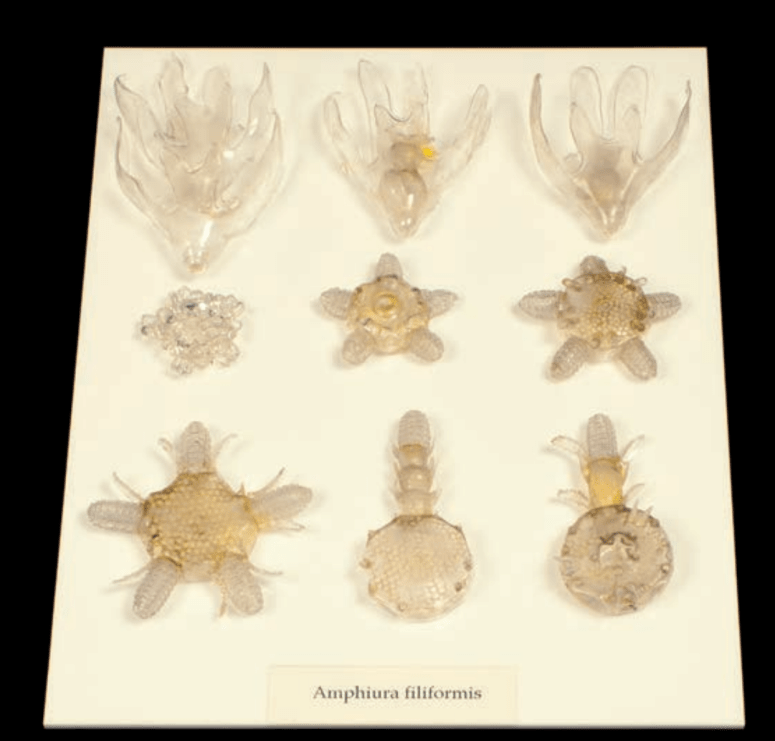 Screen Shot 2018-01-17 at 4.21.09 PM