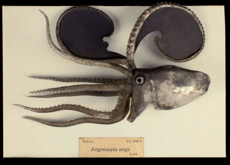 Screen Shot 2018-01-17 at 4.34.11 PM