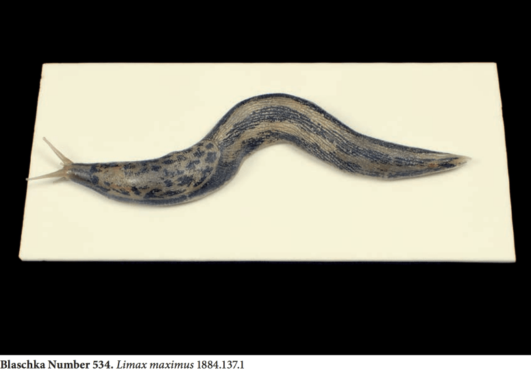 Screen Shot 2018-01-17 at 4.34.36 PM