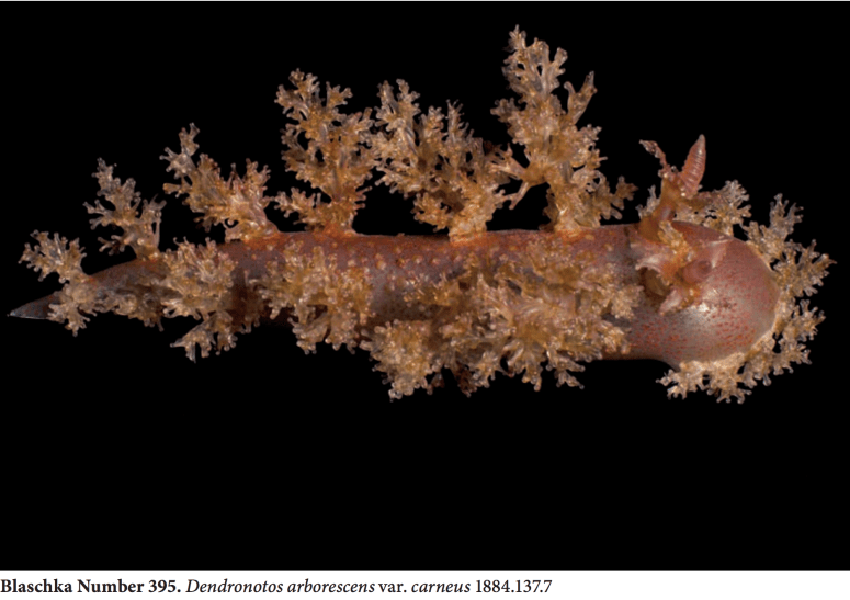 Screen Shot 2018-01-17 at 4.36.10 PM