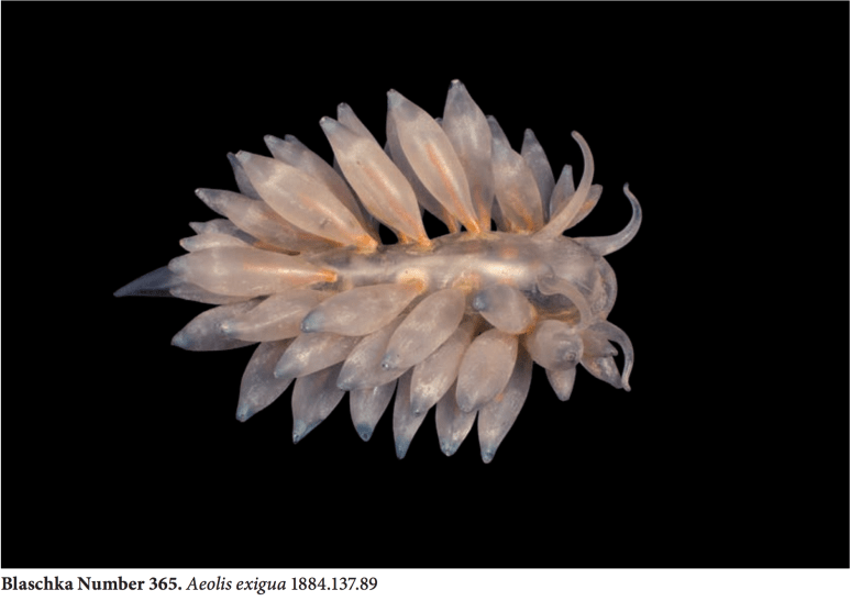 Screen Shot 2018-01-17 at 4.36.22 PM