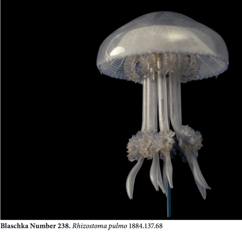 Screen Shot 2018-01-17 at 4.40.11 PM