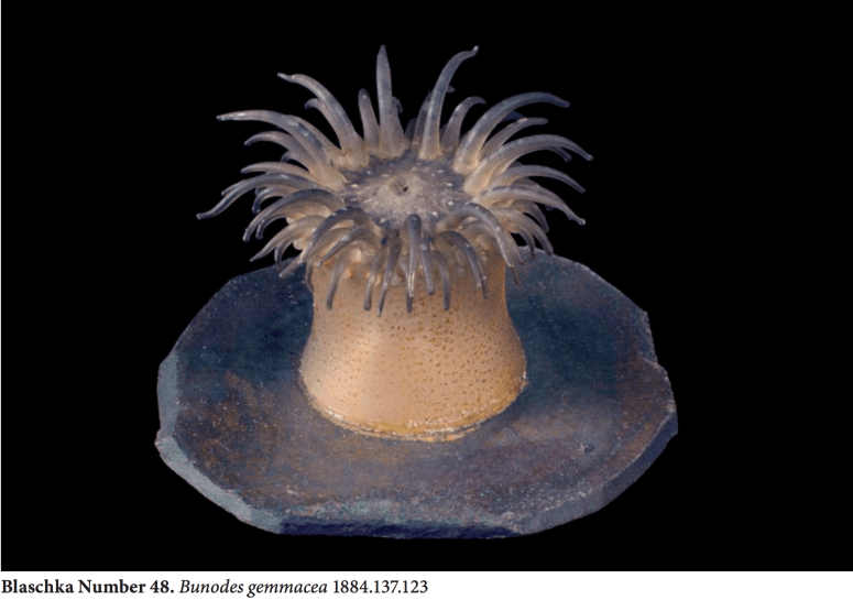 Screen Shot 2018-01-17 at 4.42.20 PM