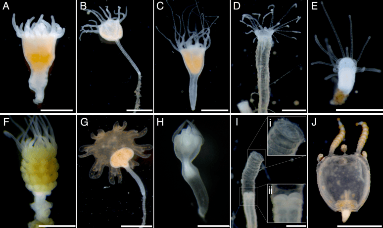 Screen Shot 2018-06-21 at 8.54.39 AM.png