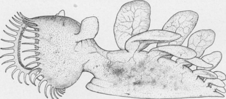 Screen Shot 2020-07-15 at 12.46.51 AM